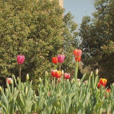 星空下载站官网