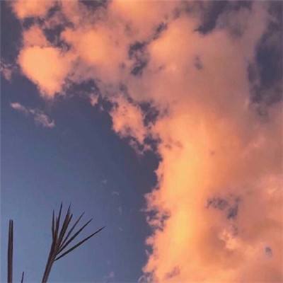 kok在线官网入口